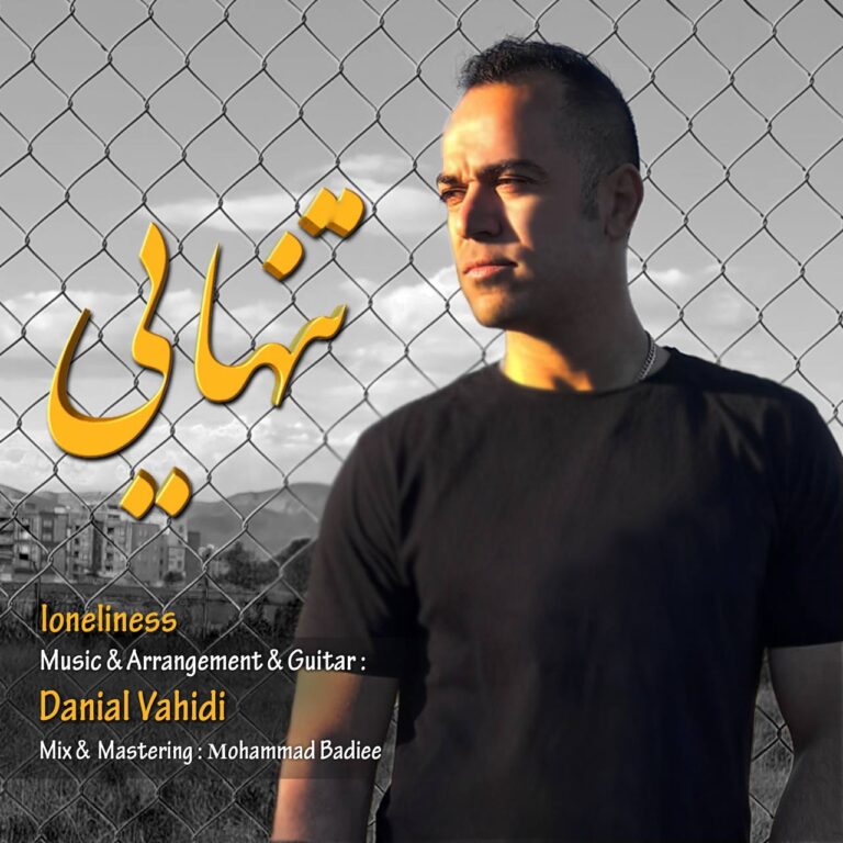 دانلود آهنگ دانیال وحیدی تنهایی ( بیکلام )